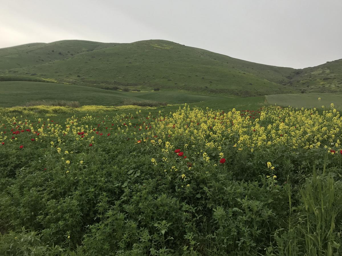 Lodge Basadot Yavne'el