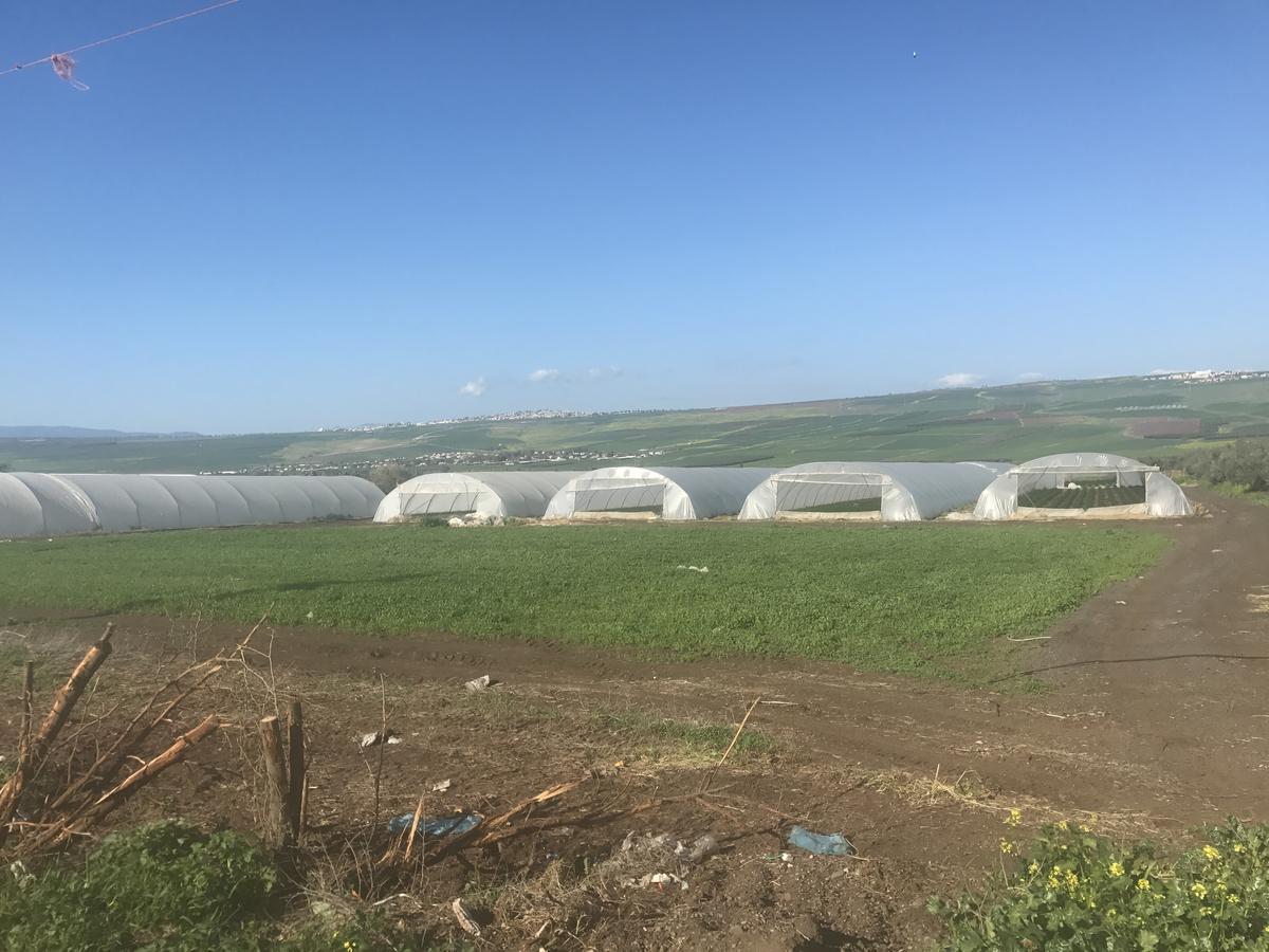 Lodge Basadot Yavneʼel